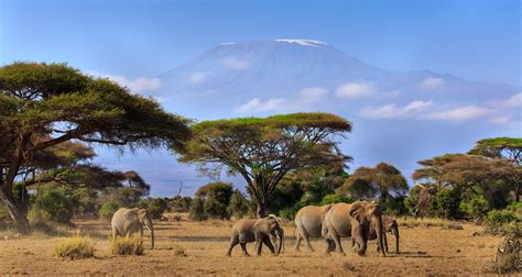 The 25 Most Beautiful Places in our Favourite African Destinations | Rhino Africa Blog