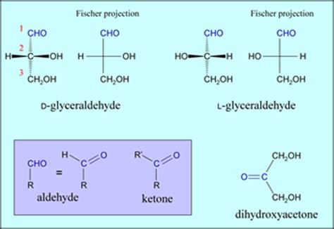 CHEM 245 - Carbohydrates