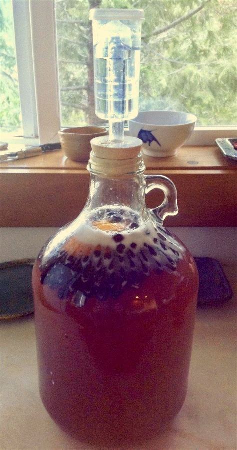 How to Make a Gallon of Mead: A Simple Mead Recipe | Recipe | Mead ...