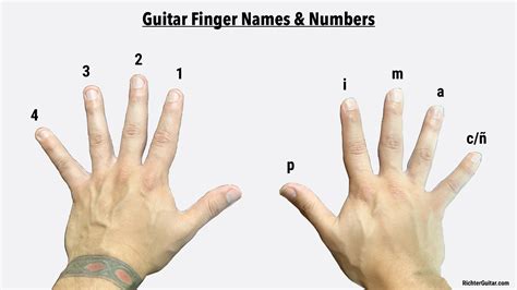 Finger Names for Classical Guitar and Flamenco Guitar