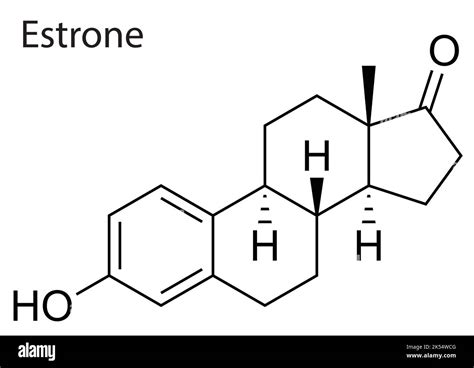 Vector file of the chemical and molecule structure of Estrone Stock ...