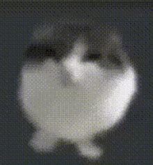 Oh The Misery Eggcat GIF - Oh The Misery Eggcat - Discover & Share GIFs