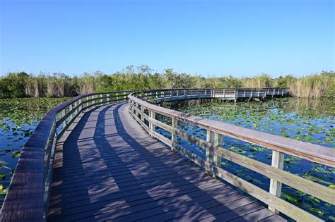 Anhinga Trail Boardwalk in Everglades National Park on Calm Sunny ...