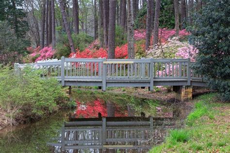 The Best Callaway Gardens Tours & Tickets 2021 - Atlanta | Viator