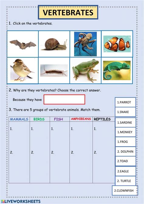 110215 | Vertebrates | DENSEL | LiveWorksheets