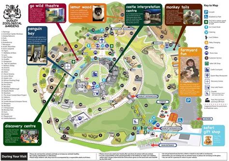 Zoo Map | Zoo map, Map, Zoological garden