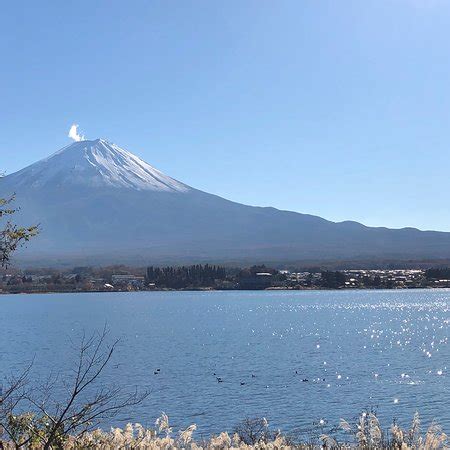 Fujisan Park (Zama) - 2019 All You Need to Know BEFORE You Go (with Photos) - TripAdvisor