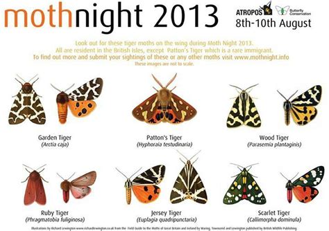 Moth ID - UK | Uk moths, Butterfly conservation, Types of moths