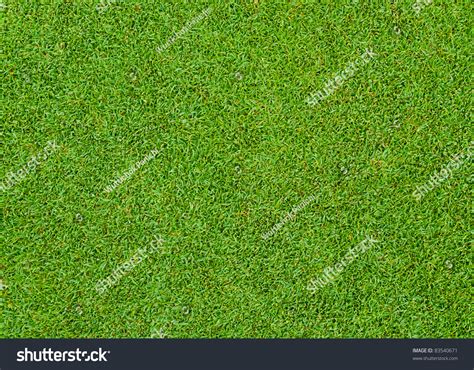 Beautiful Green Grass Pattern From Golf Course Stock Photo 83540671 ...