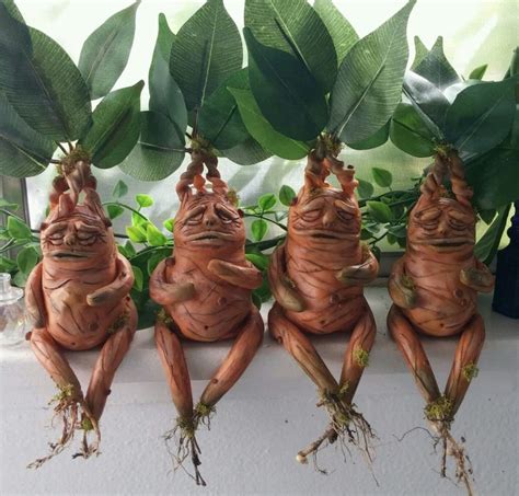 Etsy Harry Potter Mandrake Plants | Apartment Therapy