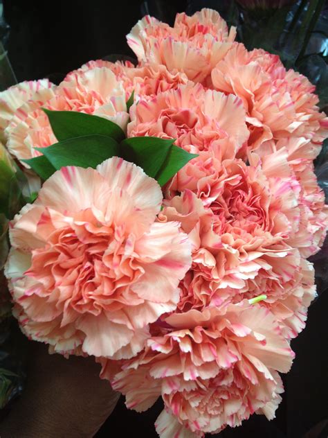 Coral Carnations from Costco | Basteln