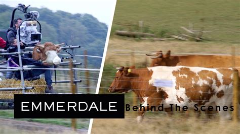 Behind The Scenes: Cow Cam! | Emmerdale