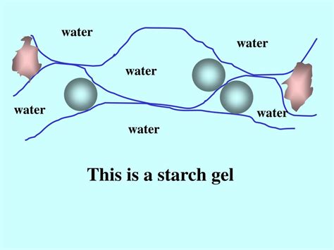 PPT - Starch Gelatinization and Pasting, Gelation, and Uglification ...