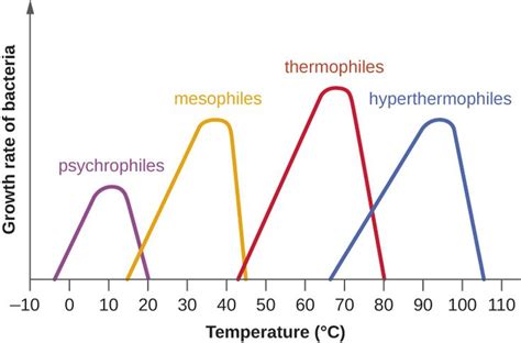 Clackamas Community College-How does temperature relate to microbial growth? | Microbiology ...