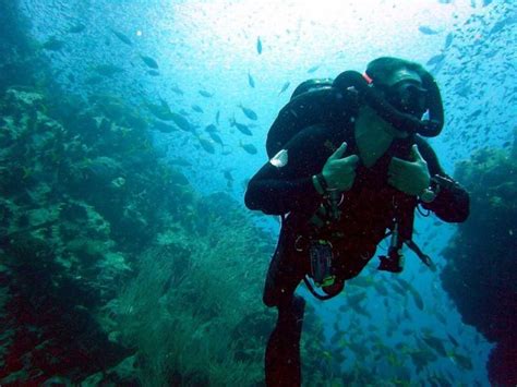 Top 5 Sites When Diving in Cebu - Cush Travel Blog