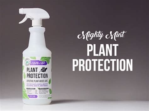 Spider Mite, Insect, and Disease Plant Protection Spray, 32oz - Walmart.com