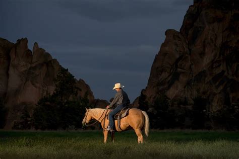 Complete Horsemanship/ Brian Thomas | Terrebonne OR