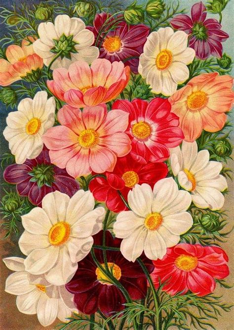 victorian floral art - RetroGraphik