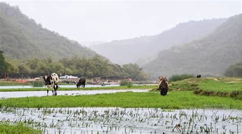 In pictures: Salalah Khareef season begins tomorrow in Dhofar - Arabian Daily News