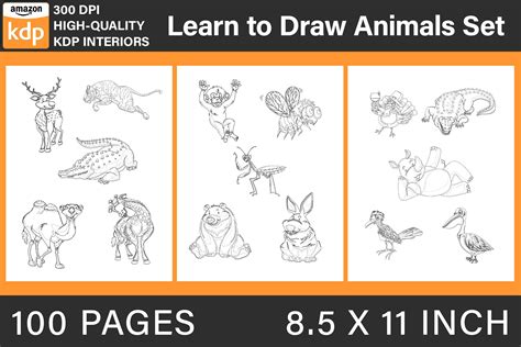 Learn to Draw Animals Set Graphic by BreakingDots · Creative Fabrica