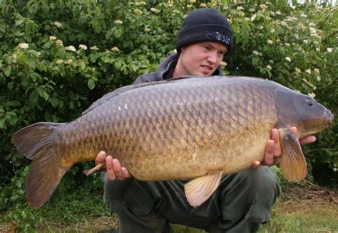 Hardwick Lake & Smith´s Pool Carp Fishing Venue In Oxford - Carp Corner ...