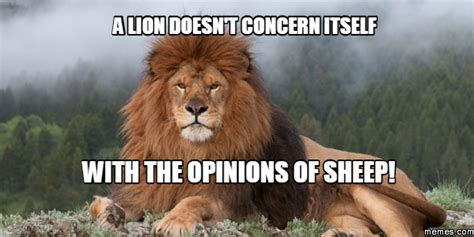 a lion doesn't concern itself with the opinions of sheep! | Lion, Memes ...