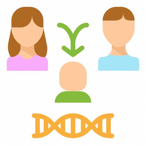 Family, genetics, biology, pedigrees, human, heredity icon - Download on Iconfinder