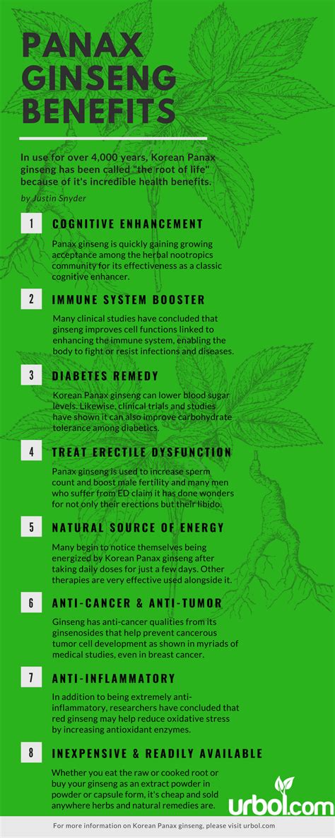 Korean Ginseng (Top 8 Benefits) - urbol.com