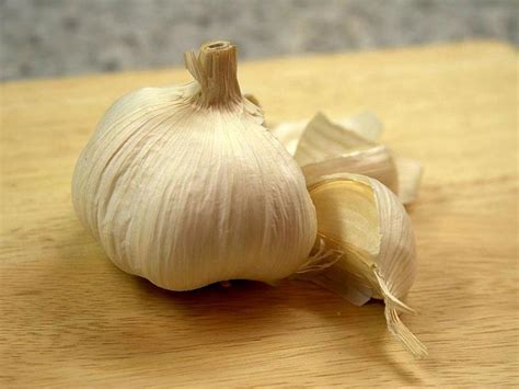 Free picture: garlic, cloves, garlic