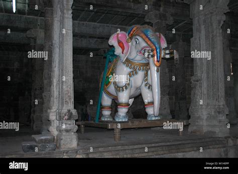 Elephant statue in hindu temple, Tamil Nadu, India Stock Photo - Alamy