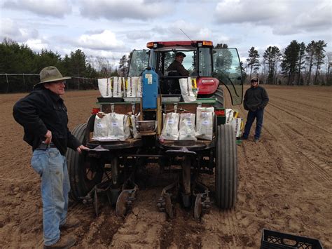 Tuber-unit planting – Potato Breeding & Genetics