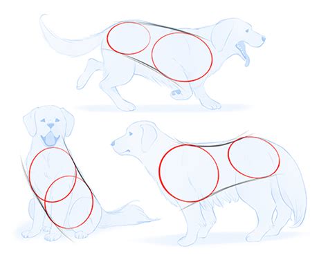 Dog Paw Drawing Side View : Drawing tips animal drawings drawing ...