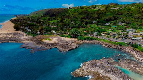 Sharks Cove Dive Guide (Oahu North Shore)