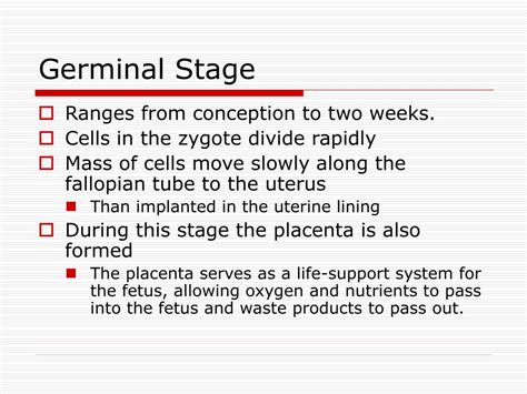 PPT - Human Development - Conception to Old Age PowerPoint Presentation - ID:653583