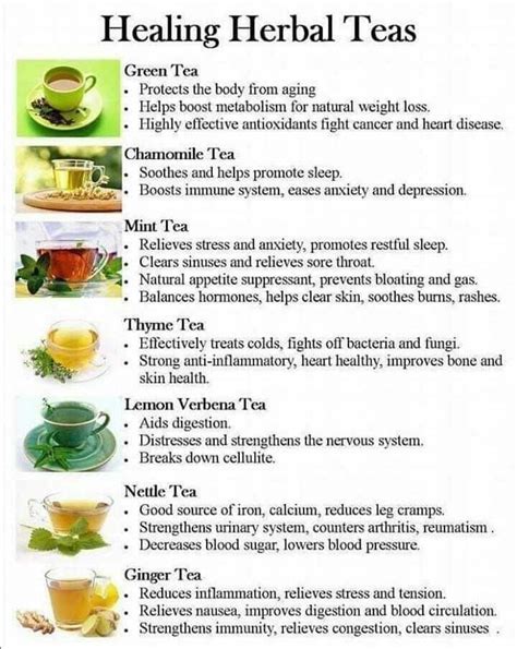 Homemade Herbal Tea Recipes Pdf - Find Vegetarian Recipes