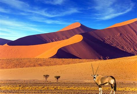 An Epic Namibia Itinerary (Plus Map, Tips & Best Places to Visit)