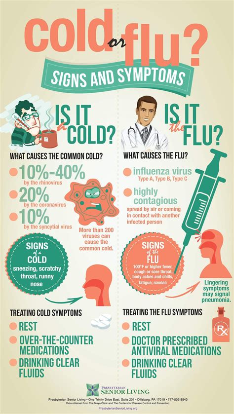 Cold or Flu Infographic: What You Should Know If You Are 65 and Older