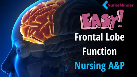 Frontal Lobe Functions Easy way to Remember - YouTube