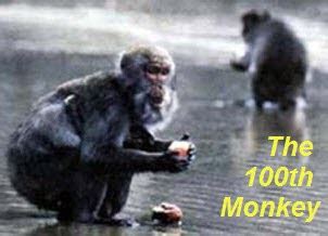 The 100th Monkey Effect : Quantum Evolution - Psychedelic Adventure