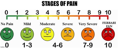 STAGES OF PAIN 012 3 4 6 7 8 Q 10 No Pain Mild Moderate Severe Very ...