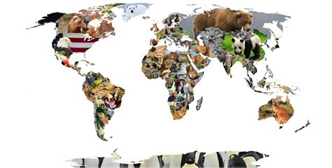 Symbolic, National and Common Animals of the World [OC] [5118x2602 ...