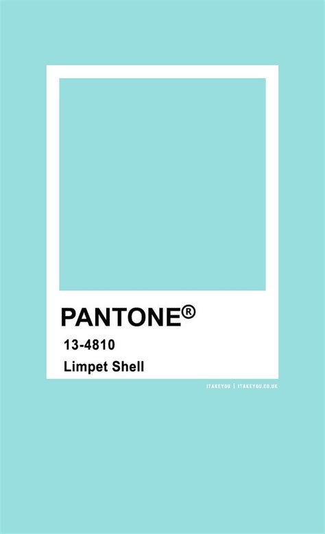 Pantone Color : Pantone Limpet Shell | Pantone colour palettes, Pantone ...