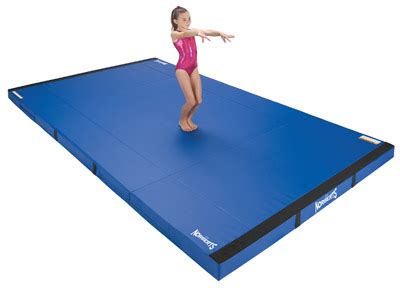 Long Gymnastics Mats - canvas-crabs