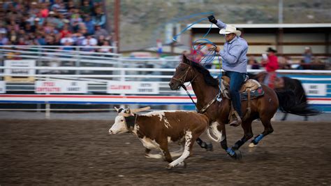 Rodeos - Travel Wyoming