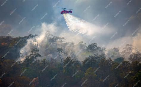 Premium Photo | Fire fighting helicopter dropping water on forest fire