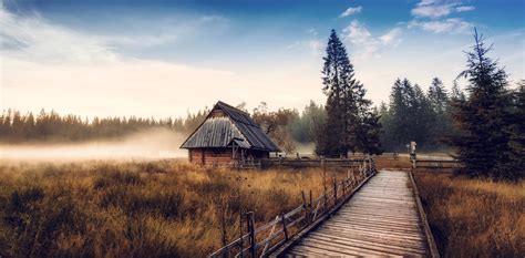 nature, Landscape, Cabin, Mist, Fall, Sunrise, Forest, Walkway, Dry Grass, Pine Trees Wallpapers ...