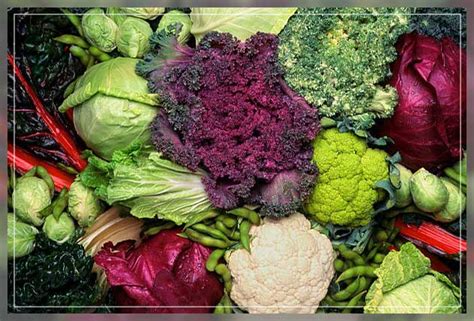 Cruciferous Vegetables: Why Are They Important - Al Ardh Alkhadra