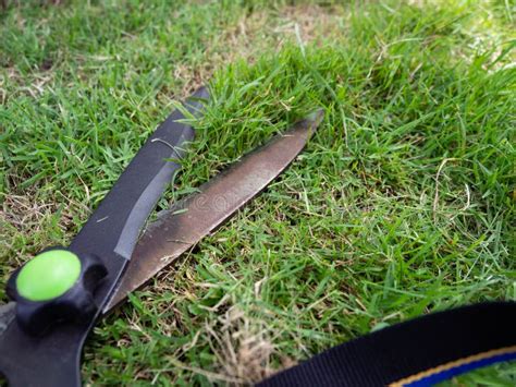 Grass Cutting Scissors,is Mowing Grass,garden with Sunlight Morning on Summer Day Outdoor and ...