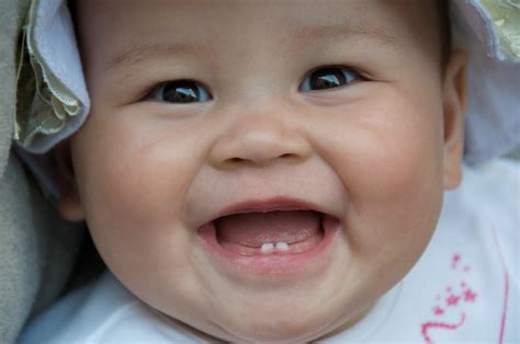 baby teeth | Thomas Ricker | Flickr