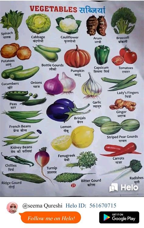 Indian Vegetables Names With Pictures In English